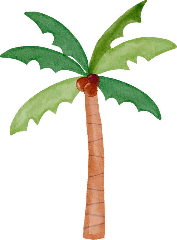 Watercolor handrawn coconut tree
